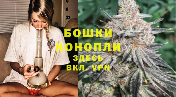 МДПВ Богданович