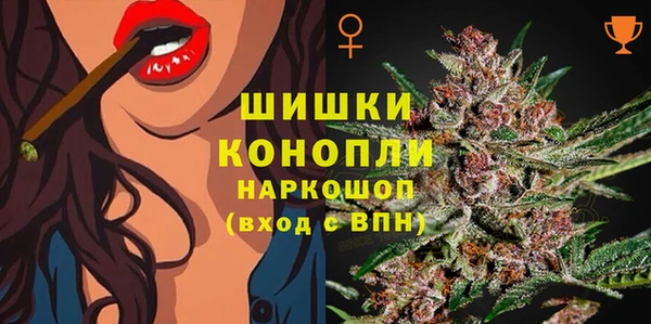 МДПВ Богданович