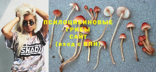 каннабис Богородицк