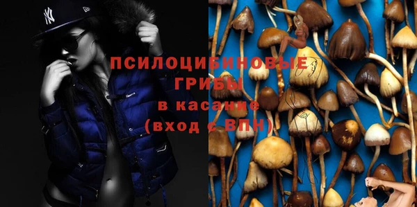 каннабис Богородицк