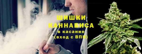 МДПВ Богданович