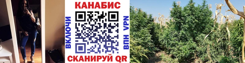 Каннабис SATIVA & INDICA Минусинск